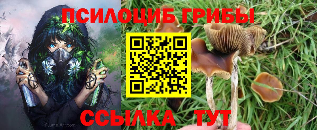 Псилоцибиновые грибы Psilocybe  Вход с VPN  Якутск  Галлюциногенные грибы мицелий 
